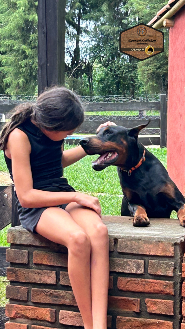 doberman + criança